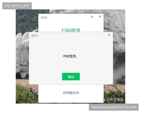 开云官方在线登录流程详解，轻松应对登录过程中可能遇到的问题