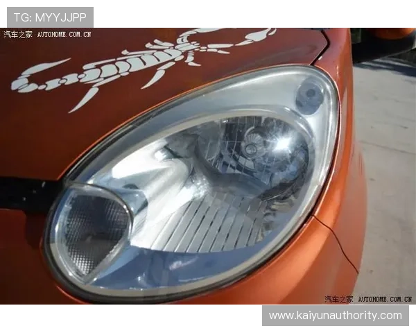 开云链接入口更新通知，第一时间掌握最新登录地址信息