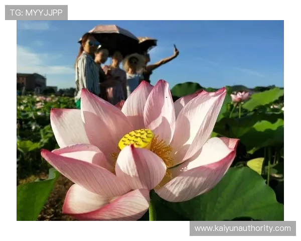 开云账号无法注册成功的常见原因及应对措施详解 开云账号无法注册成功的常见原因及应对措施详解