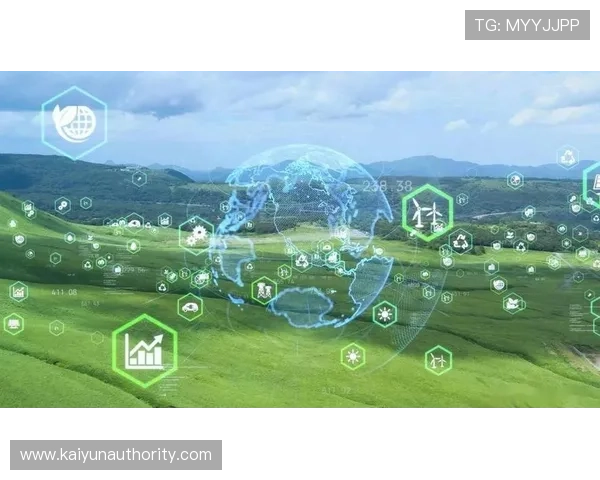 未来数字生态中开云入口的重要性与发展趋势全景展望 未来数字生态中开云入口的重要性与发展趋势全景展望