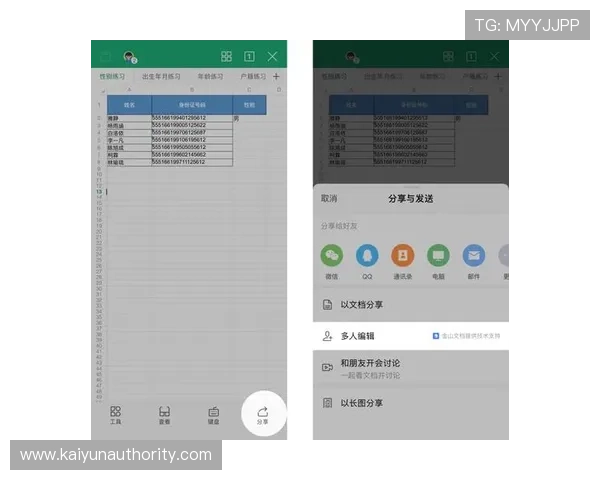 开云手机登陆常见错误及解决方案帮助用户排查登录问题的详细方法